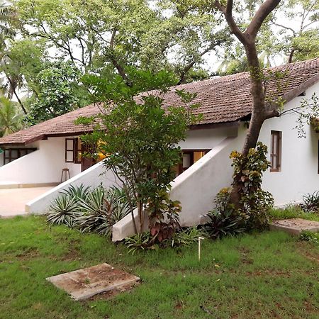 Banyan House - Luxurious 4 Bedroom Villa On One Acre, Near The Beach Nagaon  Eksteriør billede