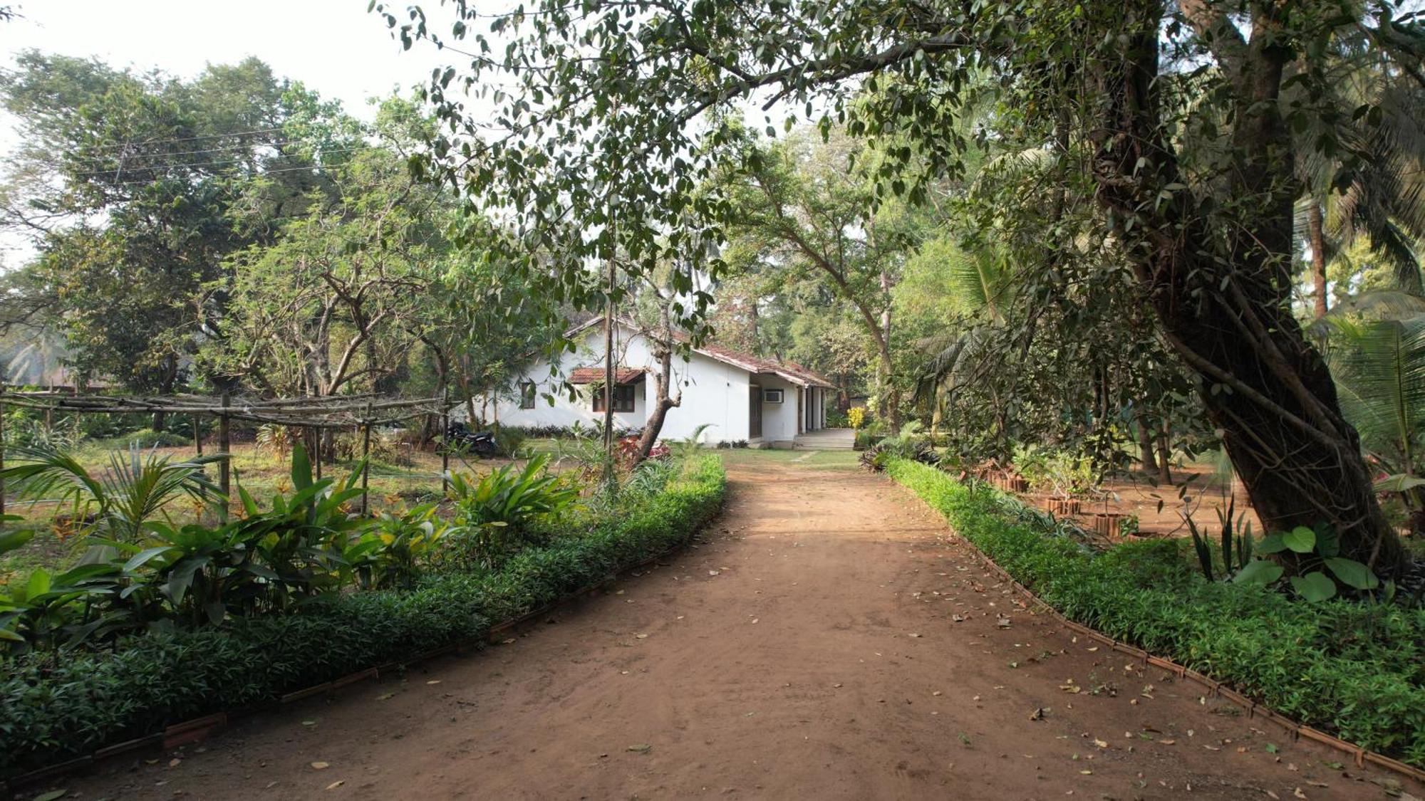 Banyan House - Luxurious 4 Bedroom Villa On One Acre, Near The Beach Nagaon  Eksteriør billede