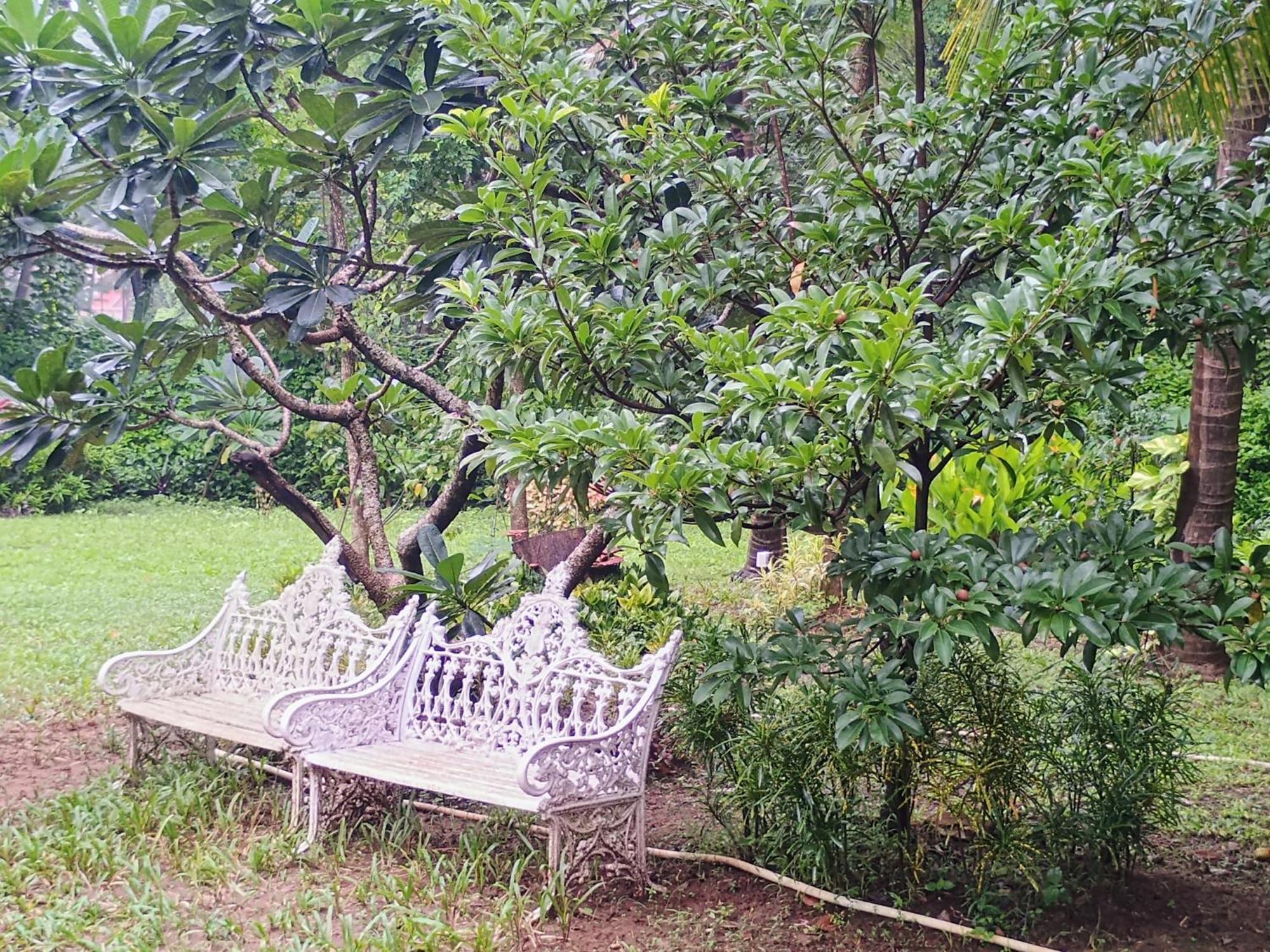 Banyan House - Luxurious 4 Bedroom Villa On One Acre, Near The Beach Nagaon  Eksteriør billede